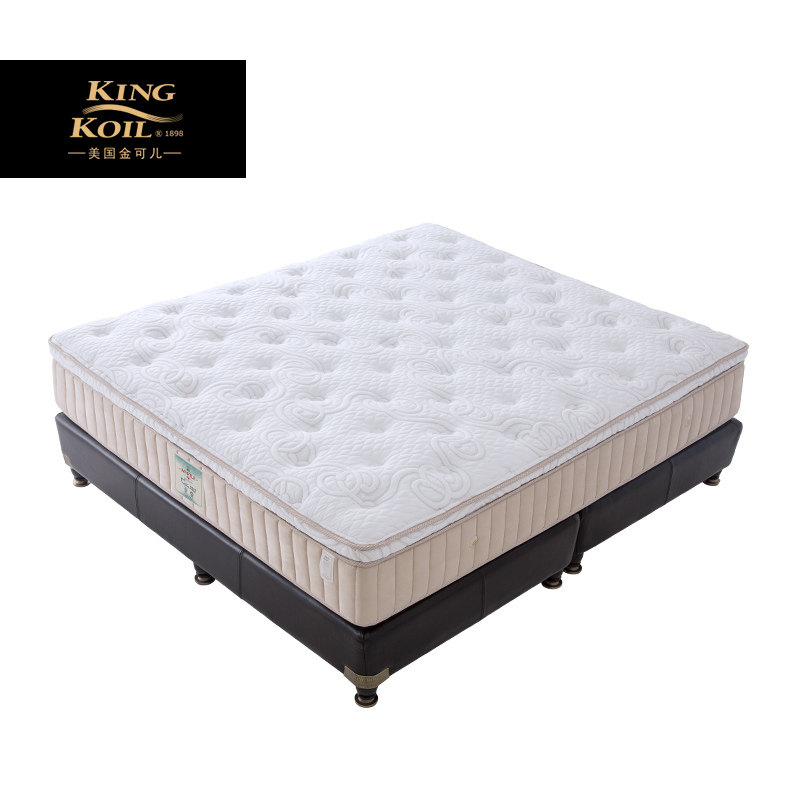 ��ɶ����Ѷ��ܵ����齺����