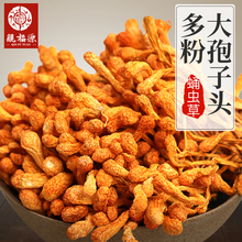 虫草花孢子头多粉正品 北虫草250克 包邮 无硫蛹虫草干货 亲福源