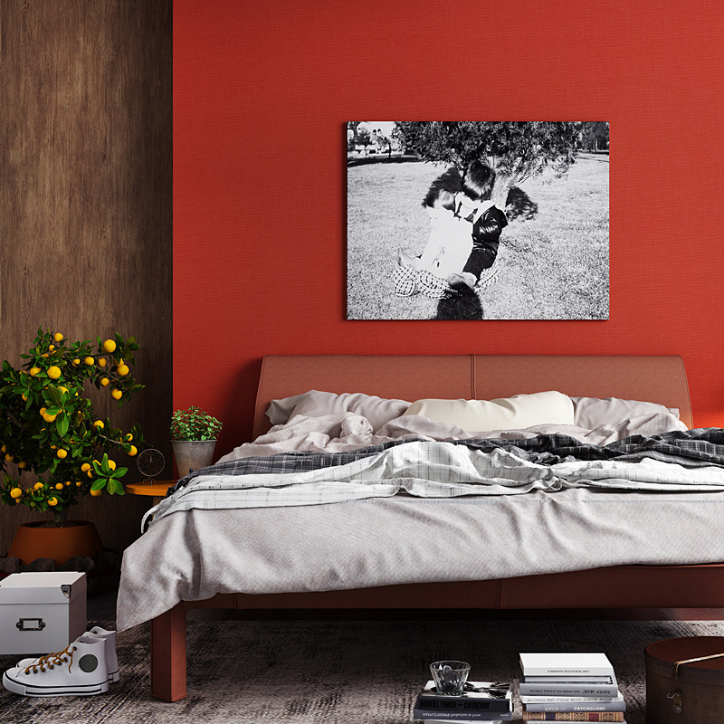 �׹��ִ���ʽ��ɫǽ��