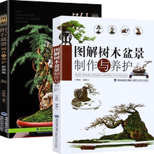 盆景造型技艺图解 2册 盆景制作教材 入门 附石盆景制作与养护 盆景书籍图书大全 图解树木盆景 盆景栽培技术书籍设计图盆栽制作