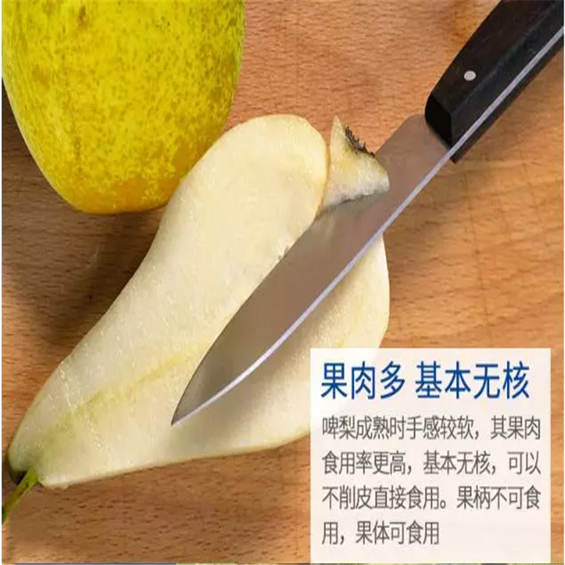 比利时啤梨原箱18~24个装 荷兰进口啤梨truva