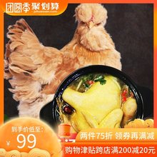 北京油鸡老母鸡1kg 首农百年栗园 农家散养土鸡走地鸡