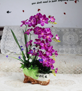 仿真蝴蝶兰花套装假花盆栽客厅装饰花摆件电视柜客厅摆设塑料干花