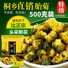 共500g新花 买1送1菊花茶桐乡胎菊王正宗特级杭白菊贡菊菊花茶散装