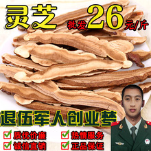 大片 紫灵芝50克 半野生 灵芝片 林岛长白山灵芝