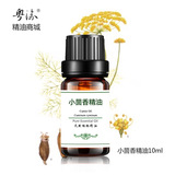 单方厂家纯正品小茴香精油10ml紧致肌肤天然按摩
