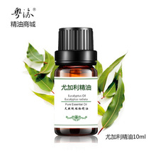 尤加利精油单方护肤精油面部正品 香薰10ml桉树精油天然纯精油脸部