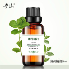 粤渝单方香薰 薄荷精油商城30ml 厂家天然正品 香薰按摩