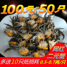 徽周六月黄小螃蟹鲜活大闸蟹50只0.5-0.7两2二元蟹大一元蟹香辣蟹