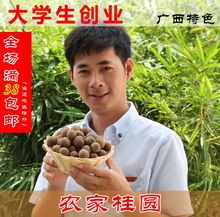 产地果农直销桂圆干龙眼干 正广西博白桂圆肉250g赛莆田高州