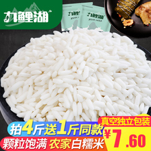 白糯米 农家糯米籼糯粘大米江米粳米五谷杂粮 买4送1 九鲤湖 500g