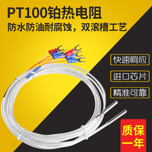 铂热电阻PT100高精度WZP热电偶防水防腐进口贺利氏温度传感器探头