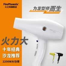 火之凤吹风机发廊专用大功率理发店静音2200w专业造型大风力8960