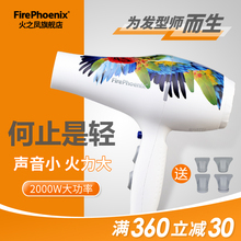 火之凤吹风机发廊专用大功率理发店超静音超轻专业造型5600A鹦鹉