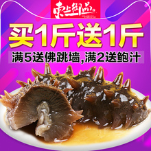 东上御品 野生海参即食500g 大连辽参刺参海渗鲜活海参礼盒单个装