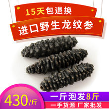 海参龙纹参500g进口野生美国红岩虎皮参散装 淡干货刺参深海渗送礼