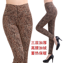 加绒加厚中老年女士豹纹保暖裤冬款外穿三层高腰打底裤大码棉裤长