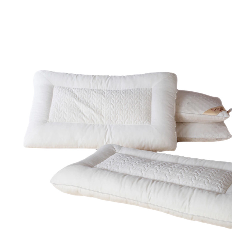 ʢ��ȫ�޾�������о