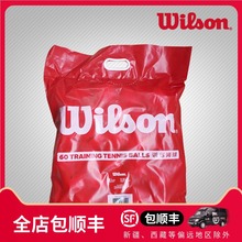 袋装 Wilson威尔逊team桶装 网球无压练习网球威尔胜专业训练用网球