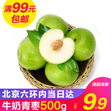 蜜枣孕妇水果 珍珠枣牛奶枣青枣新鲜脆甜枣500g 北京当日达
