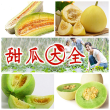 花皮牛角蜜种子白沙蜜甜落花甜日本甜宝瓜种子出售全场9.9元包邮