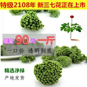 2018年新三七花田七花茶云南文山四年生特级精选三七花500克