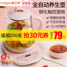 格立高养生壶办公室小型全自动玻璃养身花茶壶家用多功能电煮茶器