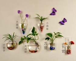 绿萝壁挂水培玻璃瓶挂墙花瓶花免钉悬挂式吊墙壁挂装饰墙上的花盆