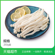 新鲜蔬菜 新鲜菌菇 精选海鲜菇250g