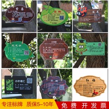 花草牌亚克力树牌植物绿化标识志牌树木介绍挂牌木广告牌定制做