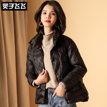 灵子飞飞LZ18Y110589图片