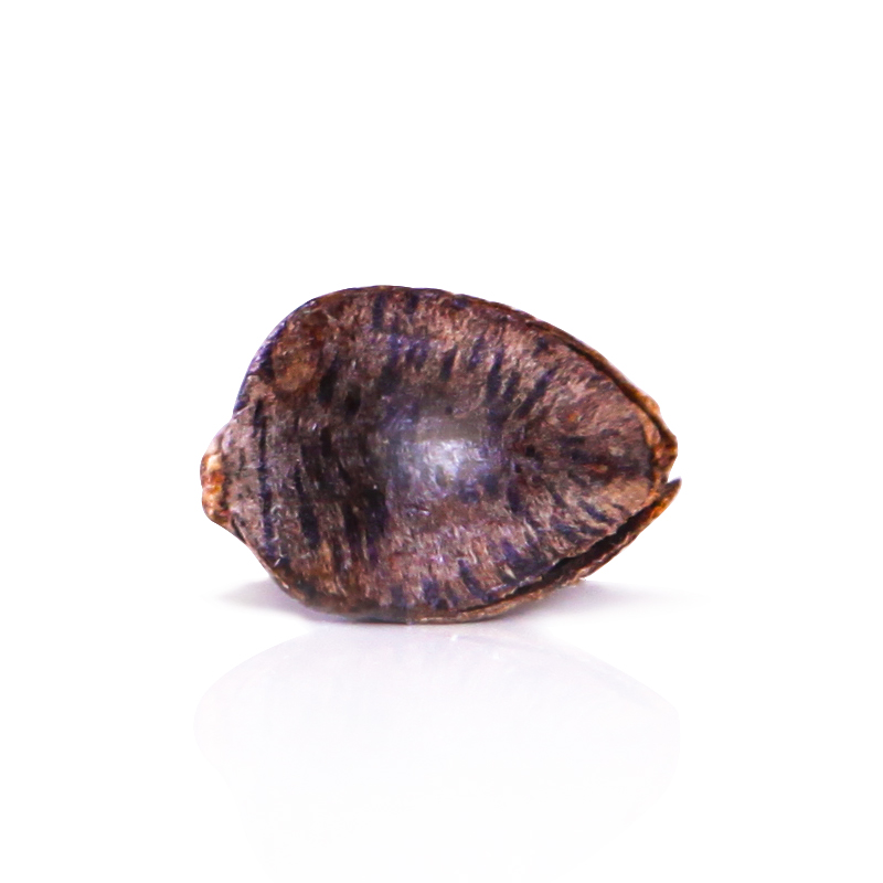 ��Ȫ��Ȼ����Ƥ����о�����6464788