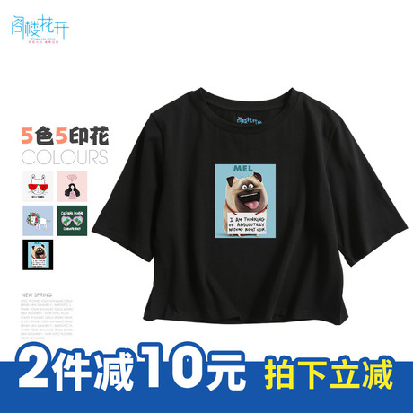 阁楼花开chic短袖t恤女韩范学生ulzzang2018新款半袖百搭原宿bf风商品大图