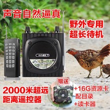 Q93 户外电媒鸡媒 电媒机2000米无线远程遥控器播放器 戴乐 引鸡