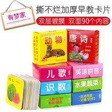 宝宝早教书撕不烂早教卡片书 婴幼认知图片识字卡儿童启蒙书0-3岁