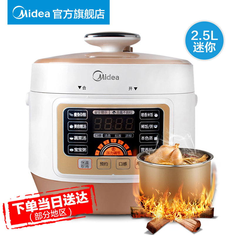 ���ĵ�ѹ����WSS2521