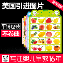 婴幼儿童启蒙认知数看图识字挂图无声全套宝宝早教墙贴画拼音卡片