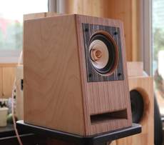 Voice Of The Wind D42 Fever Desktop Hifi Passive Bookshelf Speaker