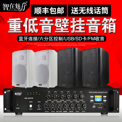 智在魅力 ZL-930壁挂音箱会议吊顶音响天花吸顶喇叭店铺背景音乐广播功放
