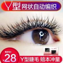 Y型编织嫁接睫毛 郁金香开花种植假睫毛爱情自动一秒网状交叉开花