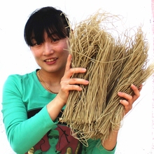 红薯粉条 5斤 农家 地瓜细粉番薯干货 FY