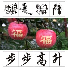 苹果字帖桃子贴字水果贴画苹果贴长字自贴膜水果贴字番石榴字帖膜
