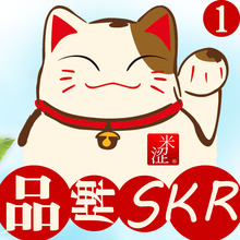 电商品牌天猫营销策划活动店铺分析诊断体验标题优化数据开店指导