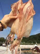 7个 潮汕南澳特海水自晒淡宅鱿鱼干海鲜野生干货食用农产品500g4