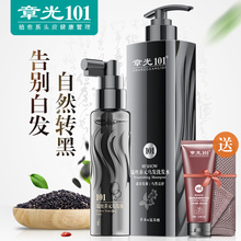 章光101瑞丝黑芝麻植物黑发何首乌洗发水白发变黑转黑乌发液男女