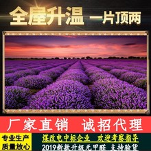 碳晶墙暖壁画家用插电加热暖气片壁挂式碳纤维石墨烯电暖画取暖器