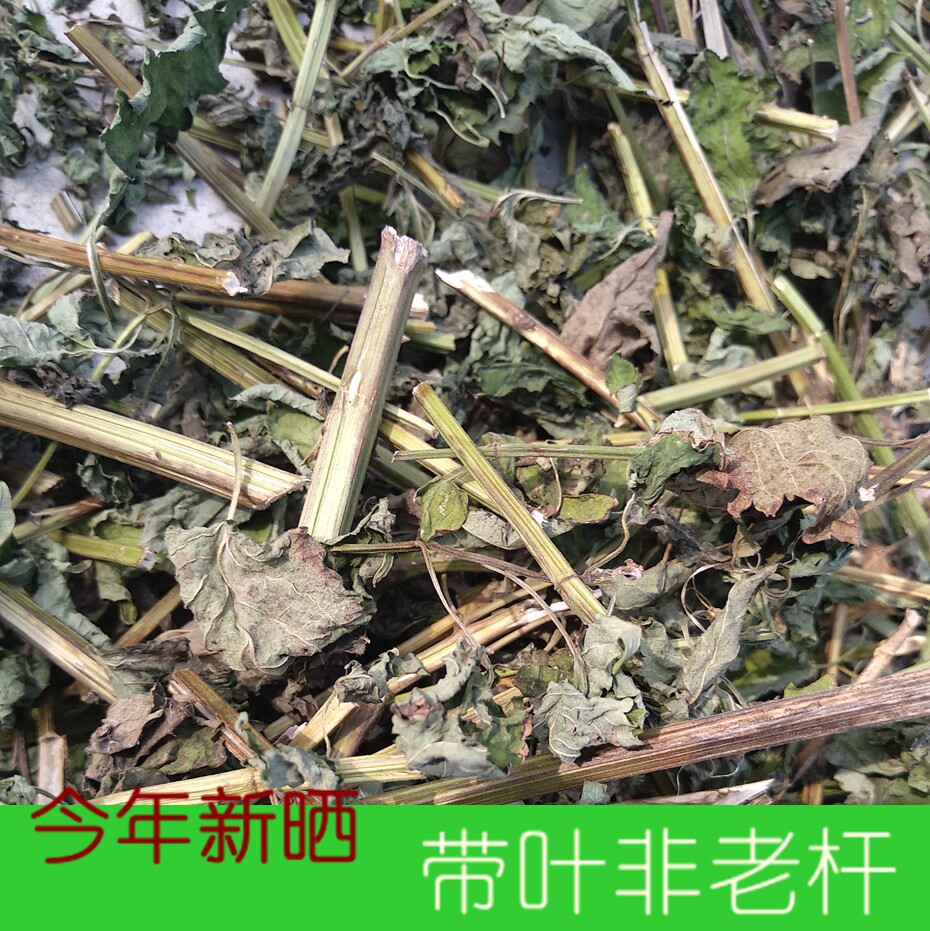 鱼香叶藿香,藿香叶,藿香鱼_大山谷图库