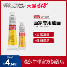 套装 45mlx55色单管支 温莎牛顿winsornewton画家专用油画颜料170ml