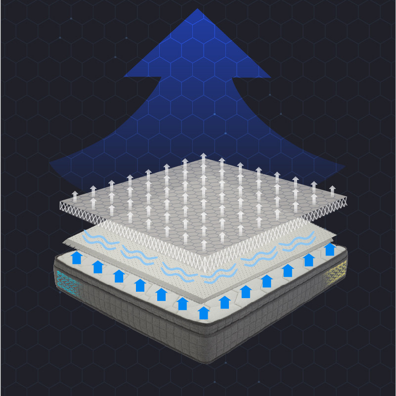 �˼ҼҾ�͸�������齺����BY.M0008