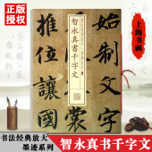 包邮 放大墨迹系列03上海书画楷草行篆书毛笔字帖临摹毛笔碑帖练习隋代名家书法碑帖字帖正版 智永真书千字文书法经典 满45